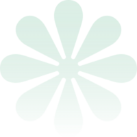 cs flower